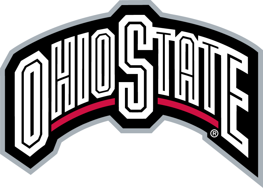 Ohio State Buckeyes 2003-2012 Wordmark Logo iron on transfers for fabric...